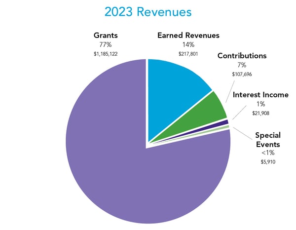 2023 Revenues pie chart