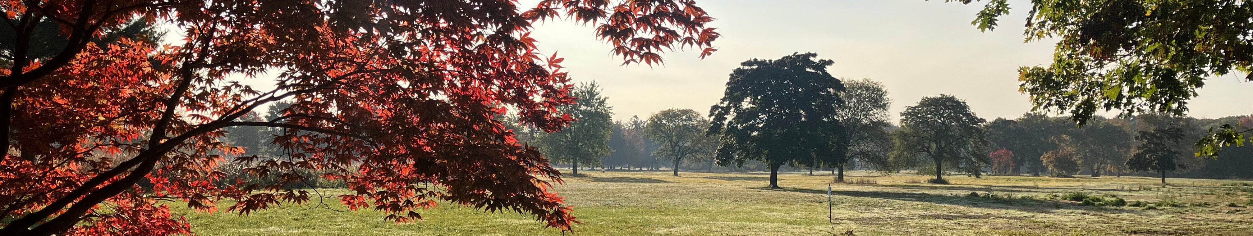 Banner  - Palmer Park